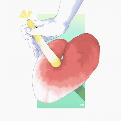 ILUSTRAÇÃO "AFLORISÍACO II" FRANK O MUDO