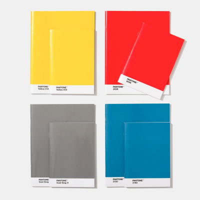 PANTONE BOOKLETS SET OF 2 DOTTED