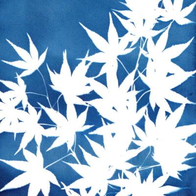 POSTAL "SER SOMBRA ONZE" CLÁUDIA SALGUEIRO