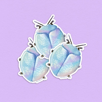 AUTOCOLANTE "BICHO - LOVEBUG - SCRUFF" DIOGO PAIXÃO