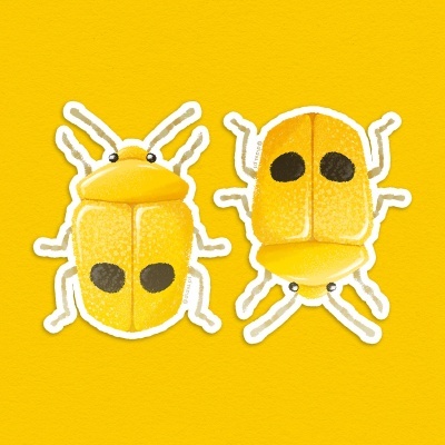 AUTOCOLANTE "BICHO - LOVEBUG - GRINDR" DIOGO PAIXÃO