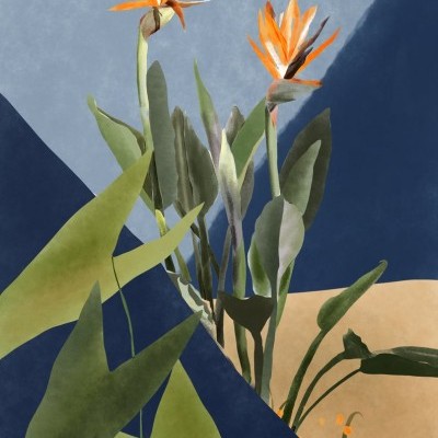 ILUSTRAÇÃO "GROWING FLOWERS" EVA HALFERS