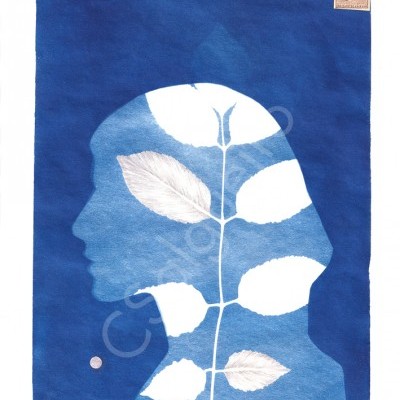 ILUSTRAÇÃO "SEM TÍTULO II" CLÁUDIA SALGUEIRO