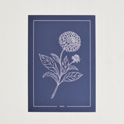 DAHLIA - PACK [NOTEBOOK + PRINT] BEIJA FLOR