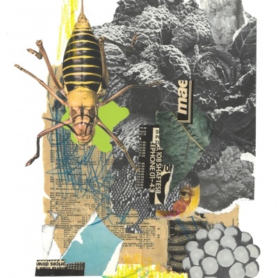 ORIGINAL "IRACEMA" JEFFERSON RIB