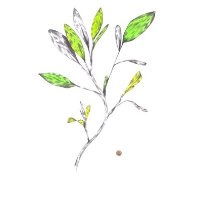 ORIGINAL "VERDE REBENTO" CLÁUDIA SALGUEIRO