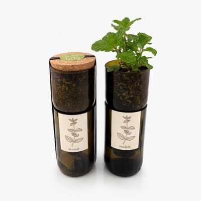 GROW BOTTLE HORTELÃ LIFE IN A BAG