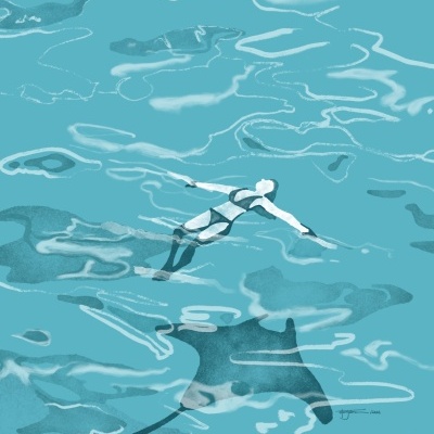 ILUSTRAÇÃO "MANTA D'ÁGUA" MARIA JOÃO FARIA