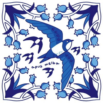 ILUSTRAÇÃO "AZULEJOS DE CASA - APUS MELBA" MENDI MENDES