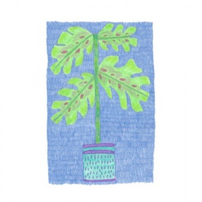 ORIGINAL "VASO 3" DIANA COSTA