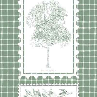 ILUSTRAÇÃO "LOUREIRO" ANA RITA ROBALO