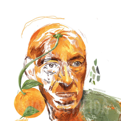 ILUSTRAÇÃO "JANEIRO" ANA LUÍSA ALMEIDA