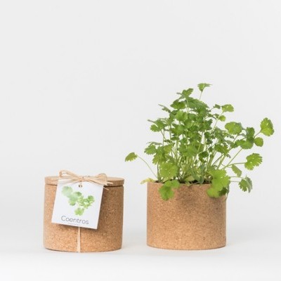 GROW CORK "COENTROS" LIFE IN A BAG