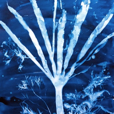 ORIGINAL "AZUL LITORAL" CLÁUDIA SALGUEIRO