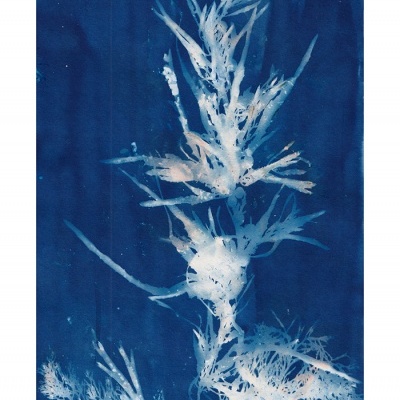 ORIGINAL "AZUL MEDITERRÂNEO" CLÁUDIA SALGUEIRO