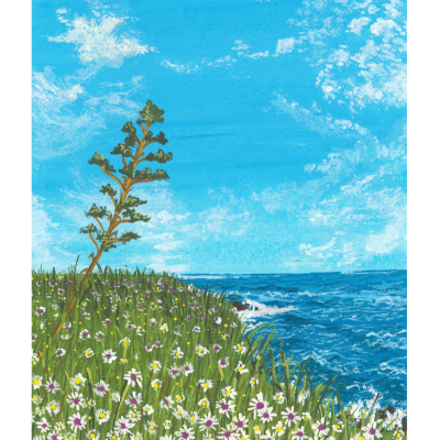 ILUSTRAÇÃO "CAMPOS EM FLOR" CORAÇÃO DE EUGÉNIA