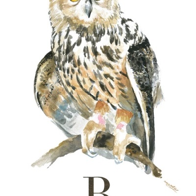 ILUSTRAÇÃO "B" ANA RITA ROBALO