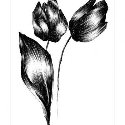 ILLUSTRATING FOR UKRAINE 16 🇺🇦