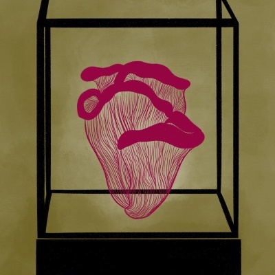 ILUSTRAÇÃO "MUSHROOM" SUSANA SILVA