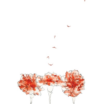 ILUSTRAÇÃO "A COR DA LIBERDADE - JORGE DE SENA" MARIA REIS ROCHA