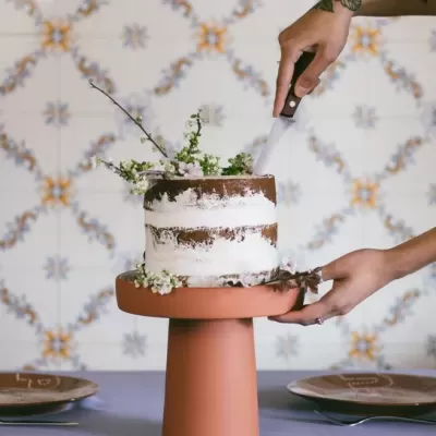 Prato Conterrâneos Grande VICARA