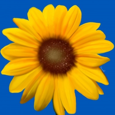 ILLUSTRATING FOR UKRAINE 80 🇺🇦