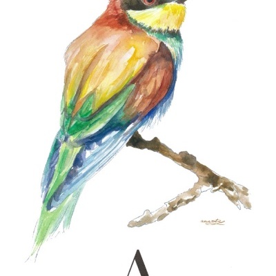 ILUSTRAÇÃO "A" ANA RITA ROBALO