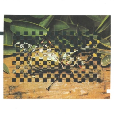 ORIGINAL "TRAMA I: INSECTOS" JEFFERSON RIB