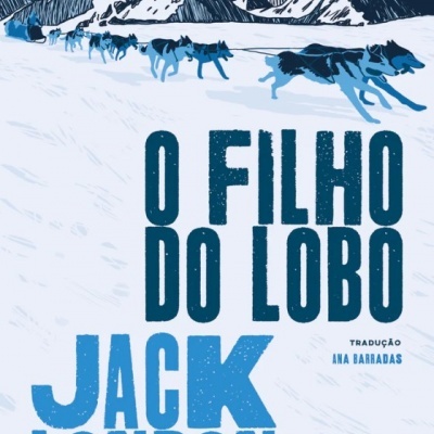 LIVRO O FILHO DO LOBO ANTIGONA