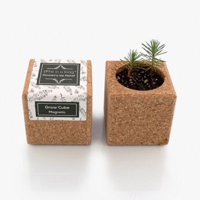 GROW CUBE "PINHEIRO NATAL VERDE" LIFE IN A BAG