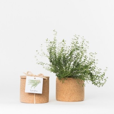 GROW CORK "TOMILHO" LIFE IN A BAG