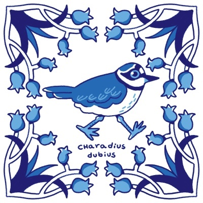ILUSTRAÇÃO "AZULEJOS DE CASA - CHARADIUS DUBIUS" MENDI MENDES