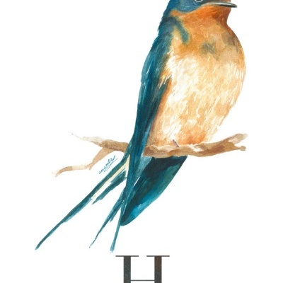 ILUSTRAÇÃO "H" ANA RITA ROBALO