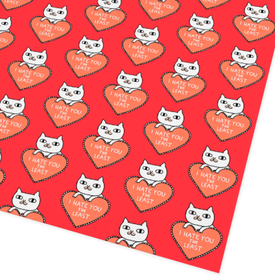 I HATE YOU THE LEAST PAPEL DE EMBRULHO OHH DEER