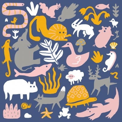 ILUSTRAÇÃO " BIODIVERSITY " GAMBUZINO