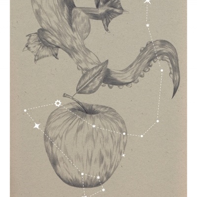 ILUSTRAÇÃO "VIAGEM MAIOR - DRACO" CLÁUDIA SALGUEIRO