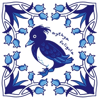 ILUSTRAÇÃO "AZULEJOS DE CASA - AYTHYA FULIGULA" MENDI MENDES