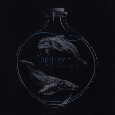 ILUSTRAÇÃO "HANDLE WITH CARE " SARA CHAVES