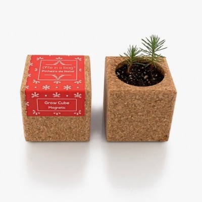 GROW CUBE "PINHEIRO NATAL VERMELHO" LIFE IN A BAG