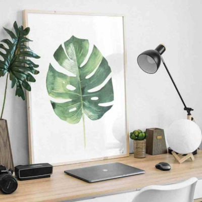 "BOTÂNICO MONSTRERA" 100% PORTUGAL