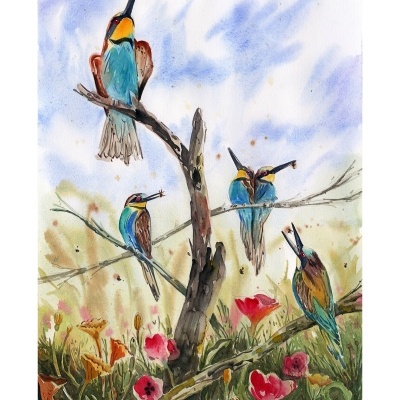 ILUSTRAÇÃO "ABELHARUCO" EVANDRO RENAN