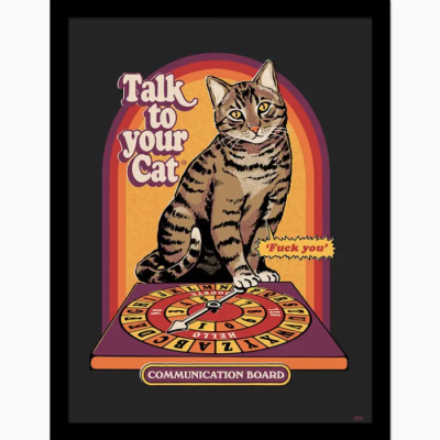 POSTER 30x40 COM MOLDURA "TALK TO YOUR CAT" PYRAMID INTERNATIONAL