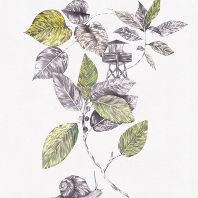 ORIGINAL "VERDE REFÚGIO" CLÁUDIA SALGUEIRO