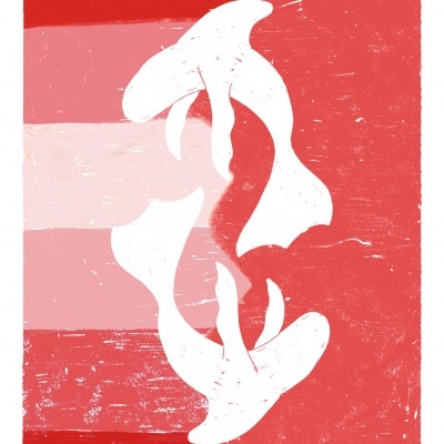 ILUSTRAÇÃO " SUGAR - SUFJAN STEVENS " NADIA NEVES