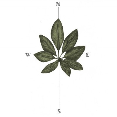 ILUSTRAÇÃO "COMPASS" CLÁUDIA SALGUEIRO