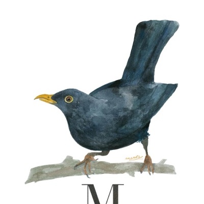 ILUSTRAÇÃO "M" ANA RITA ROBALO