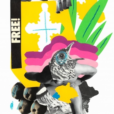 ORIGINAL "O ORNITÓLOGO" JEFFERSON RIB