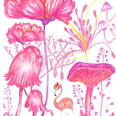 ILUSTRAÇÃO COR-DE-ROSA "FLAMINGA" MATILDE NICOLAU DE ALMEIDA