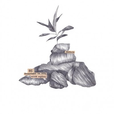 ILUSTRAÇÃO "MANHÃ SEGUINTE" CLAÚDIA SALGUEIRO