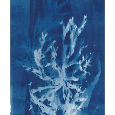 ORIGINAL "AZUL MAR" CLÁUDIA SALGUEIRO